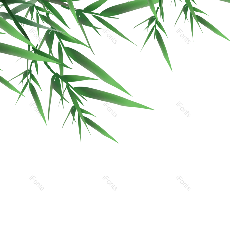 竹叶图片,插画素材元素,PNG,免抠素材
